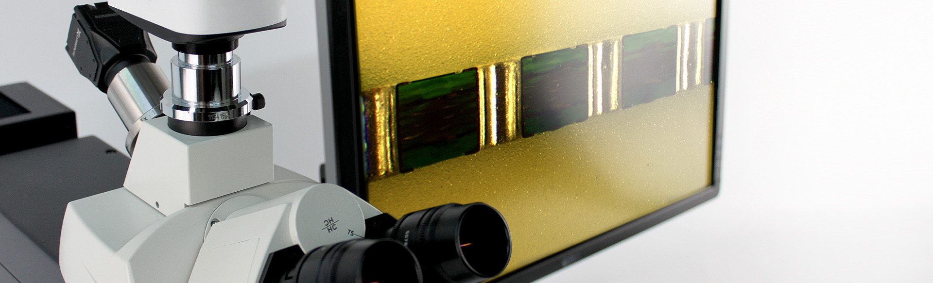 Scientific Image Acquisition | Clemex