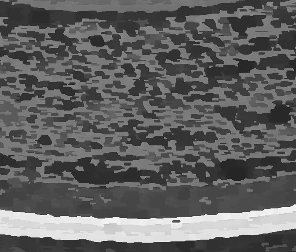 Beschichtungscharakterisierung von Siliciumcarbiden | Clemex