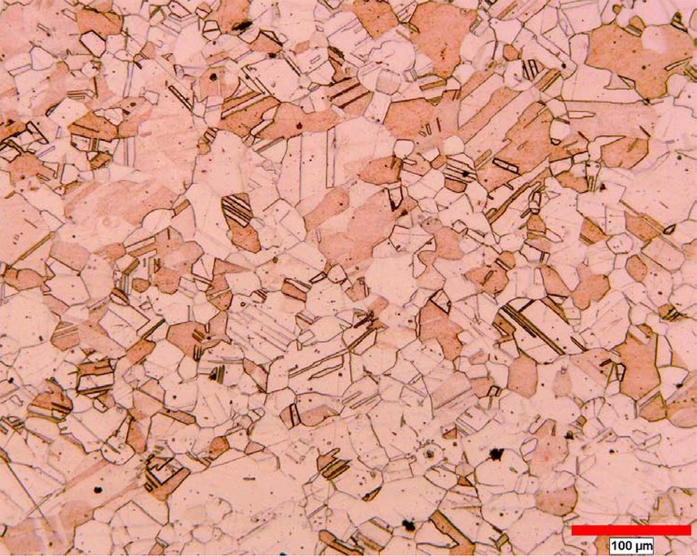 Grain size analysis in copper | Clemex
