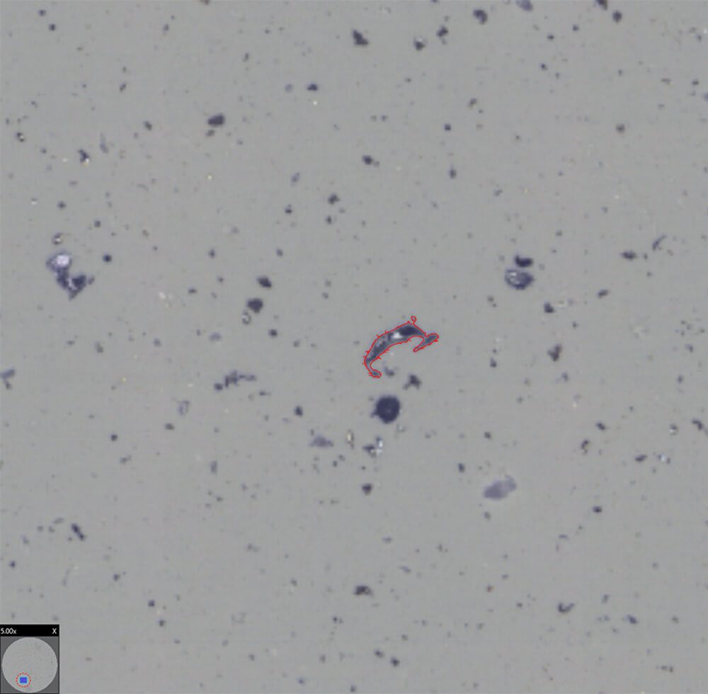 Cleanliness analysis as per ISO 16232 | Clemex