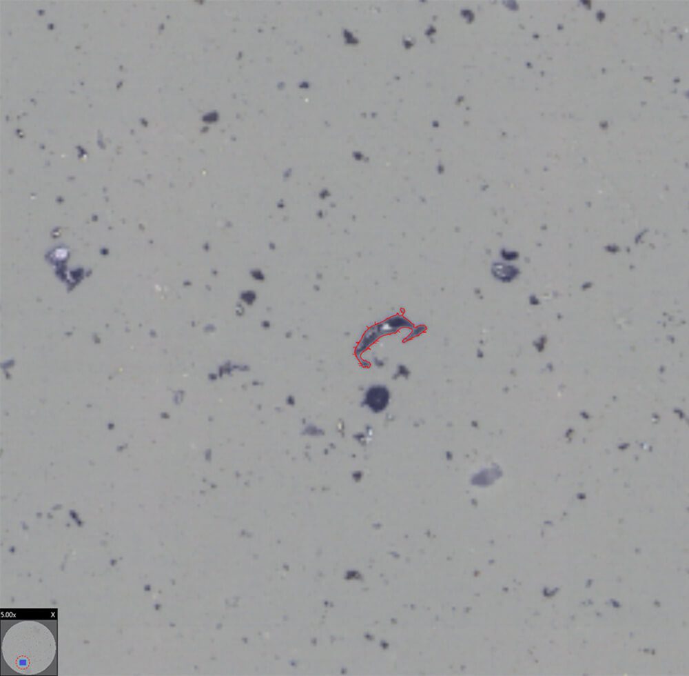 Analyse des contaminants conformément à la norme ISO 16232 | Clemex