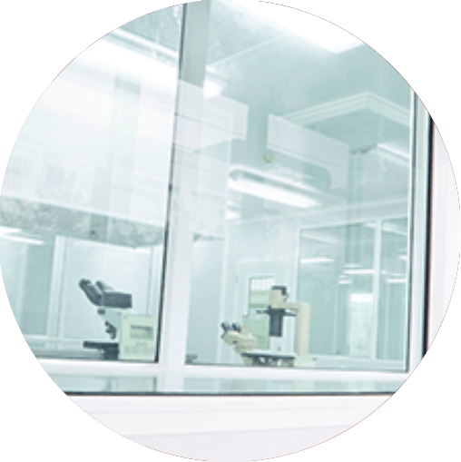 Cleanliness Analysis | Clemex